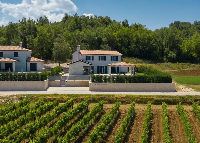 Luxury Edoardo With Pool In Visinada * Vižinada