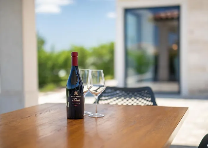 Villa Luxury Edoardo With Pool In Visinada Vižinada