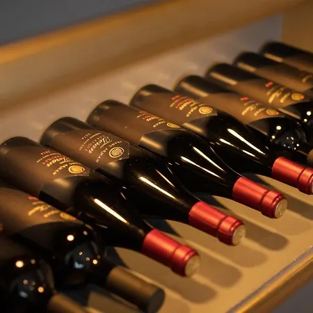 Luxury Edoardo With Pool In Visinada Willa Vranje Selo